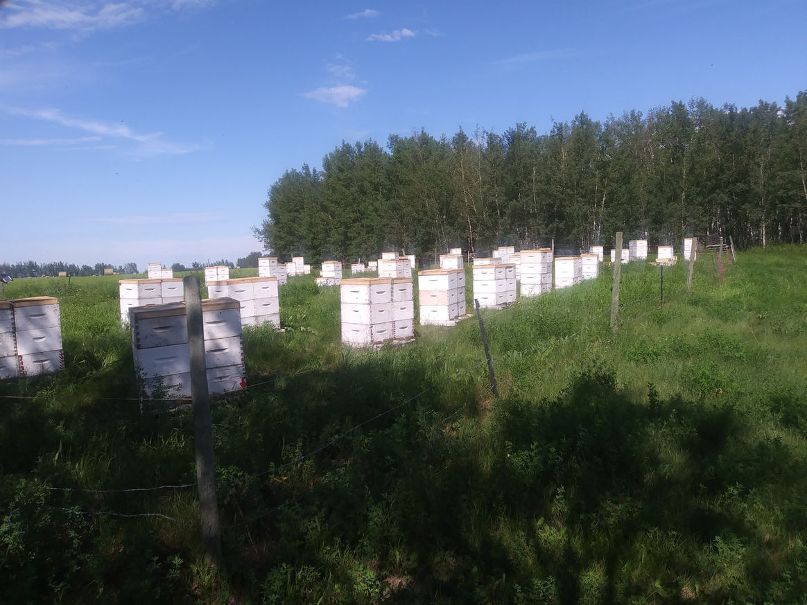 2020 Season photo 21